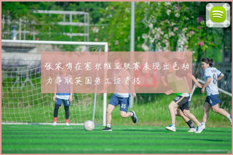 张家鸣在塞尔维亚联赛表现出色助力争取英国劳工证资格