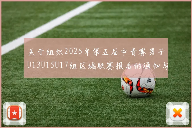 关于组织2026年第五届中青赛男子U13U15U17组区域联赛报名的通知与要求