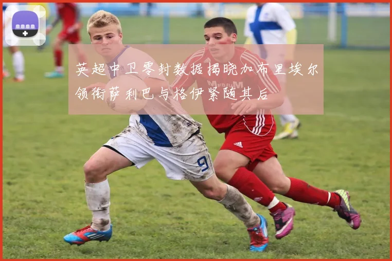 英超中卫零封数据揭晓加布里埃尔领衔萨利巴与格伊紧随其后